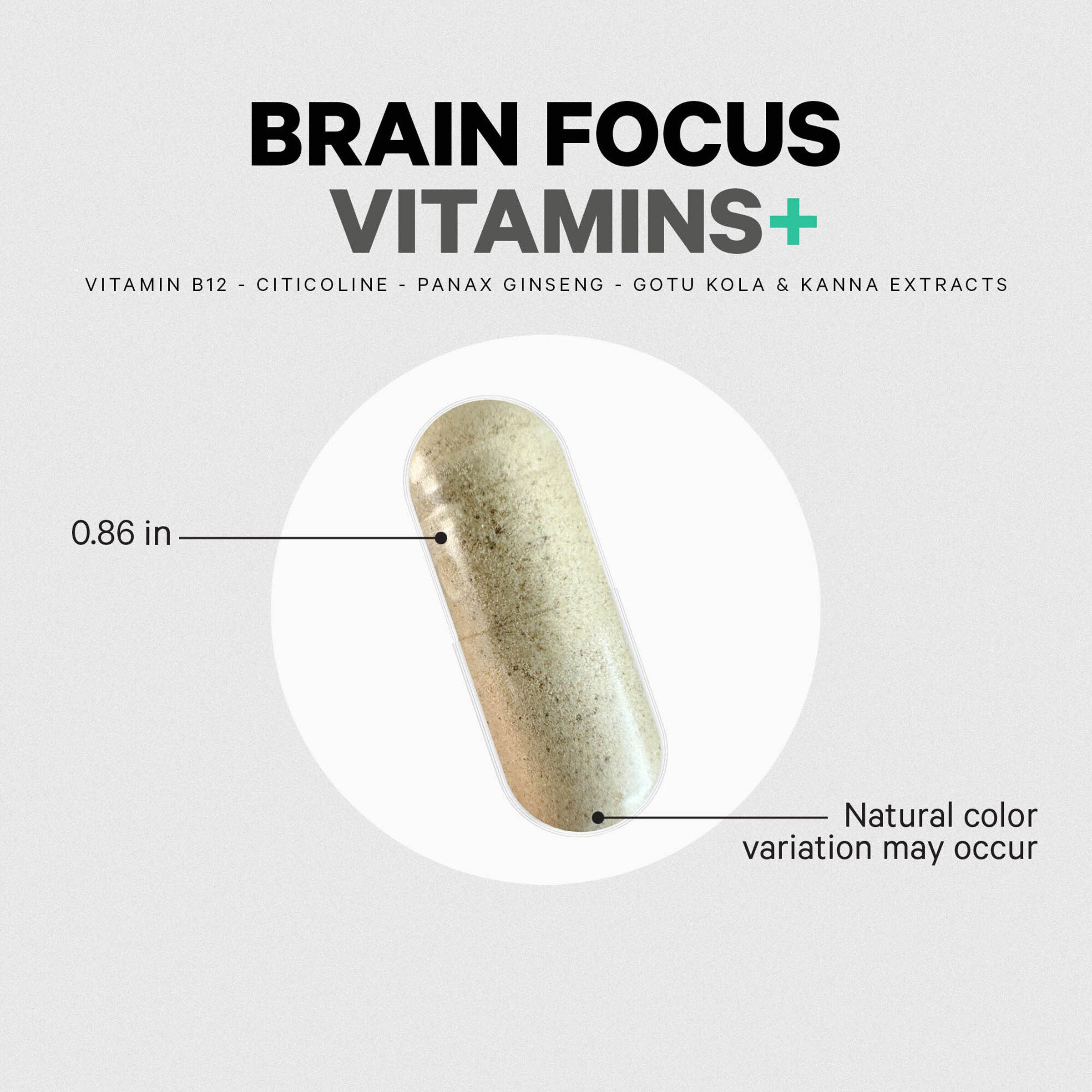 Brain Focus Multivitamin+ - 60 Vegetable Capsules (30 Servings)